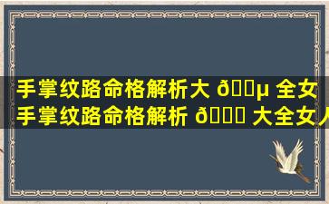 手掌纹路命格解析大 🌵 全女「手掌纹路命格解析 🐈 大全女人」